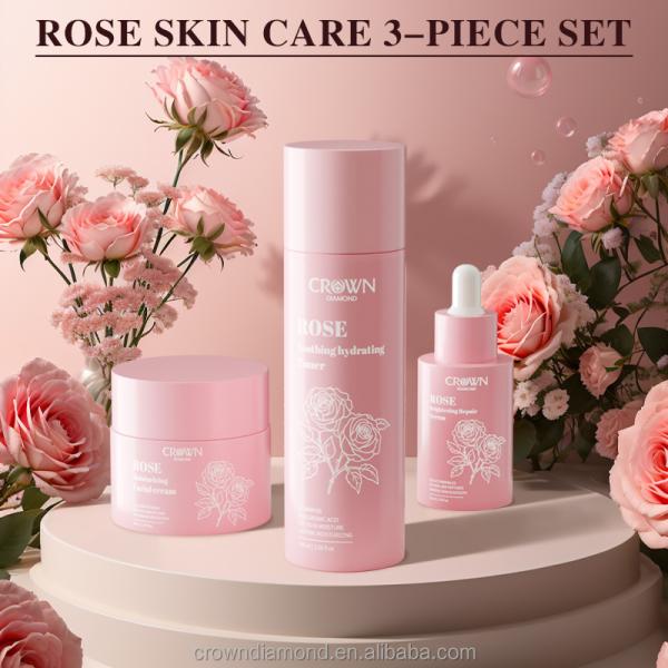 Marque privée Niacinamide éclaircissant anti-âge Rides Crème Rétinol sérum Rose Toner Ensemble de soin de la peau du visage