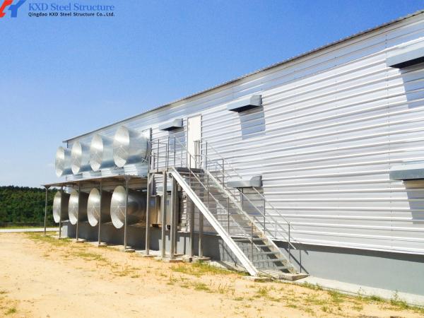 Custom Prefabricated Steel Poultry House for 15000 Broiler Birds