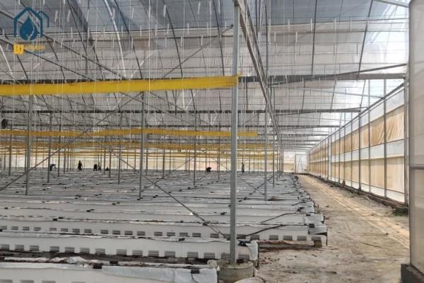 Agricultural Clear Plastic Greenhouse UV Resistant PE Film Greenhouse For Farms
