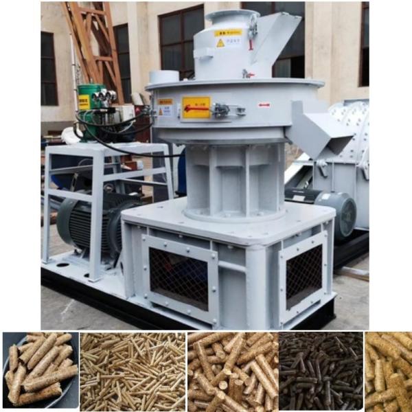 Arroz comercial Straw Pellet Making Machine da máquina 160kw da pelota de combustível da biomassa
