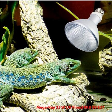 FTL Full Spectrum Aluminium UVB HID Lamp 70W 100W 150W HQI E27/E26 Bulb for Reptile Terrarium System