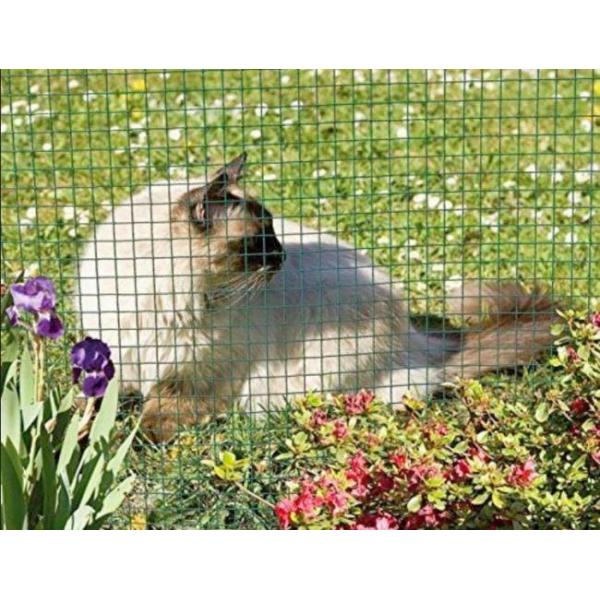 PVC 4ft x 50ft покрыл сваренную сетку Rolls для барьера предохранителя сада