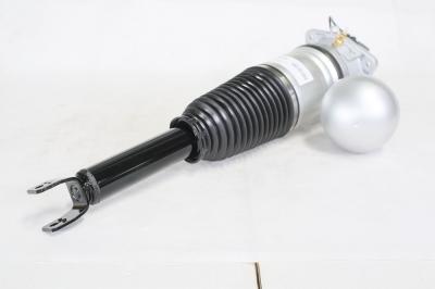ODM Air Ride Volkswagen Struts System for Phaeton Rear 3D0616001J