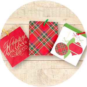 GIFT CANLENDAR BAGS, HOLIDAY BAGS, CHRISTMAS SANTA, JUMBO BIKE, LEAF, TREAT, HALLOWEEN, EASTER, VALENTIN