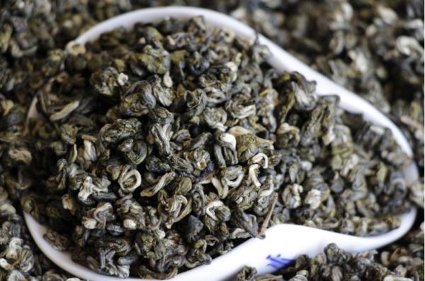 Yunnan green tea pu 'er biluochun large leaf tea spring tea