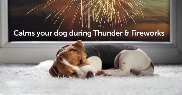  				Dog Anxiety Jacket Vet Recommended Calming Solution Vest for Fireworks, Thunder, Travel, & Separation 	        