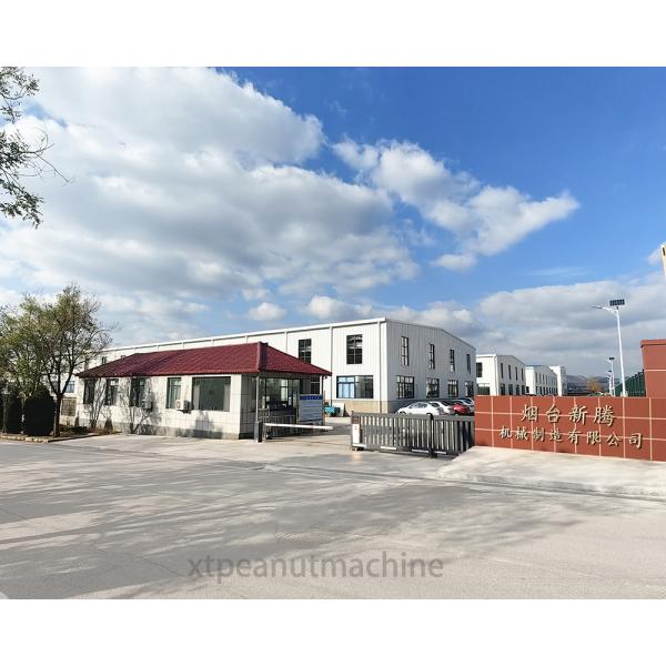 300-400kg/h Stainless Steel Nut Coating Machine for Snack Food