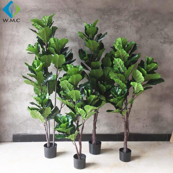 Green Artificial Ficus Plant , Ficus Lyrata Plant For Home Decoration R020002