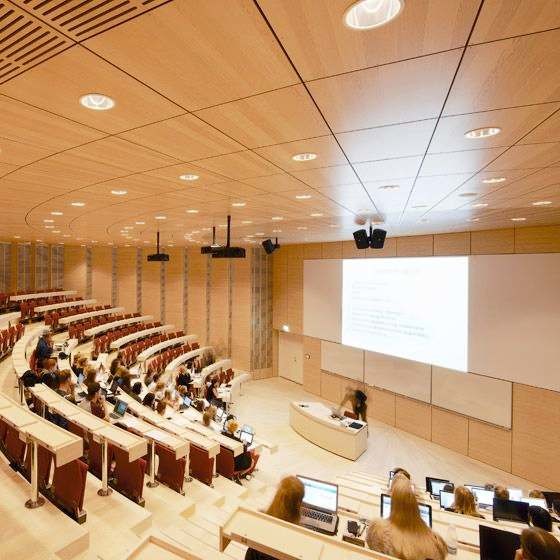 Ламинированные стеновые панели из дубового фанера, ламинированные стеновые доски толщиной 9-18 мм