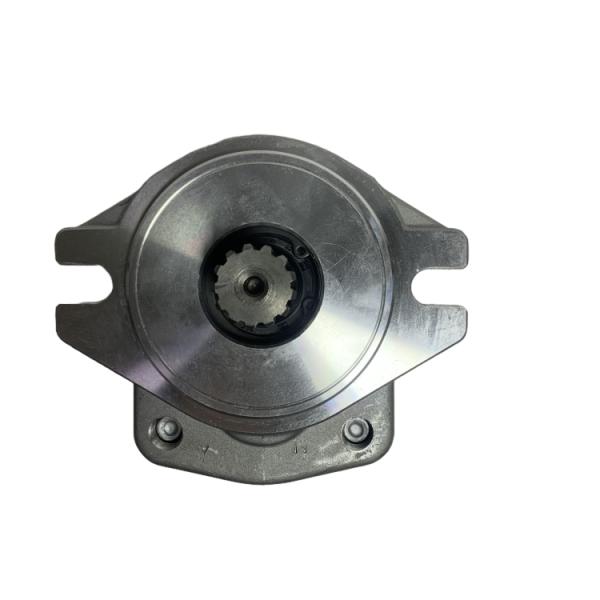 Steel Material Gear Pump with Long Working Life for CPC(D)20-35 Forklift Hydraulic System