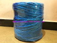 a guita azul profissional do polipropileno de 8g/m recicl a tenacidade da corda sobre 252KG