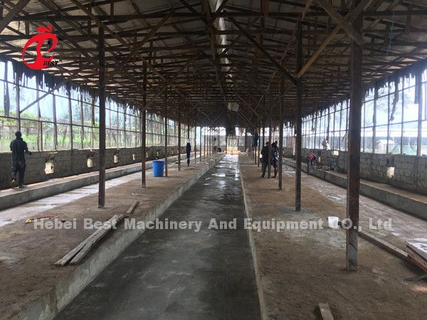 Коммерчески система 2.0m*2.0m*1.45m клетки батареи слоя цыпленка в звезде Нигерии