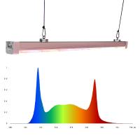 Lumières de culture LED personnalisées 4 pieds 120W 150W Lumière de croissance des plantes LED