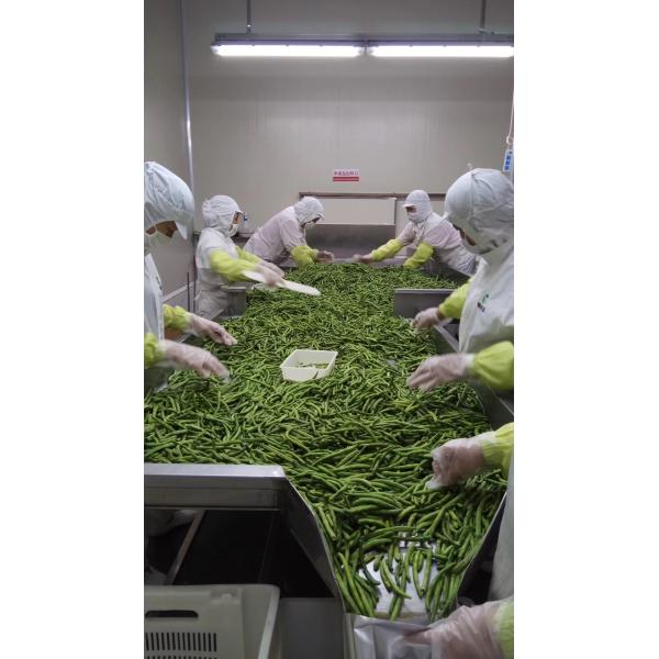 Automatic Control Vacuum Frying Machine For Low Fat Healthy Vegetables / Fruits