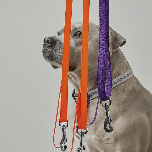 Nylon Pet Accessories Supplies Easy Cleaning For Indoor And Outdoor Use