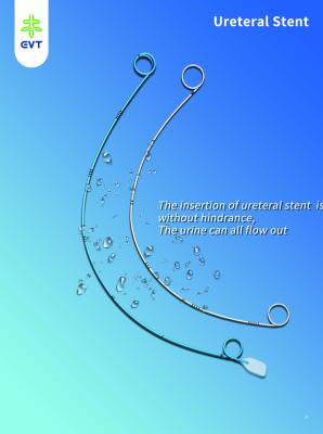 High Accuracy Stent Delivery System Stable Operation With Enlarged Inner Lumen