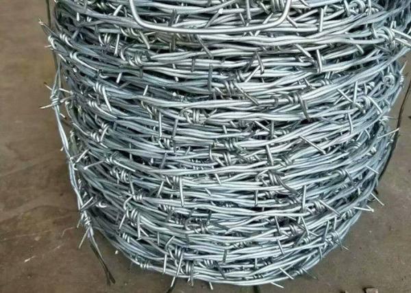 18 le brin du point 2 de la mesure 4 a galvanisé la bobine des bobines 20kg de barbelé