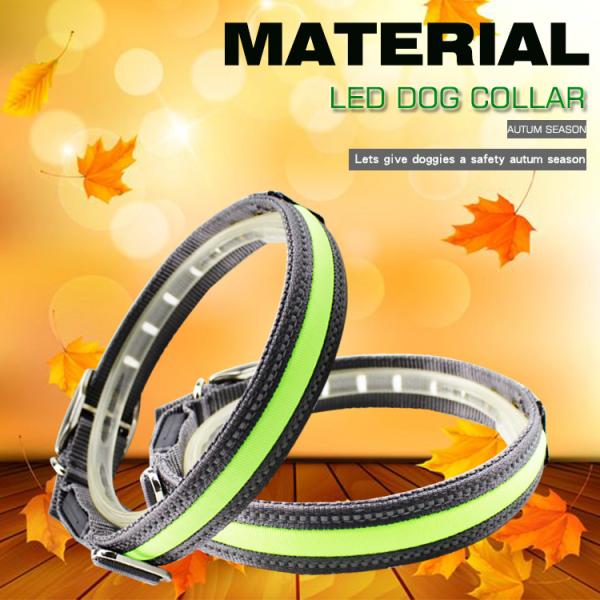 Christmas LED Dog Collar / Dog Training Collar Dog Leashes And Collars
