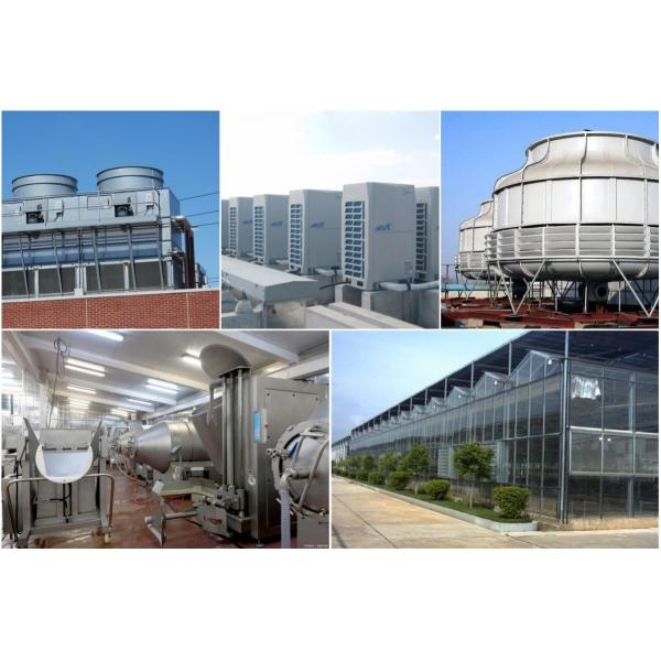 Construction Galvanized Steel Coil Sheet 2000mm 2440mm Galvalume Steel Coil