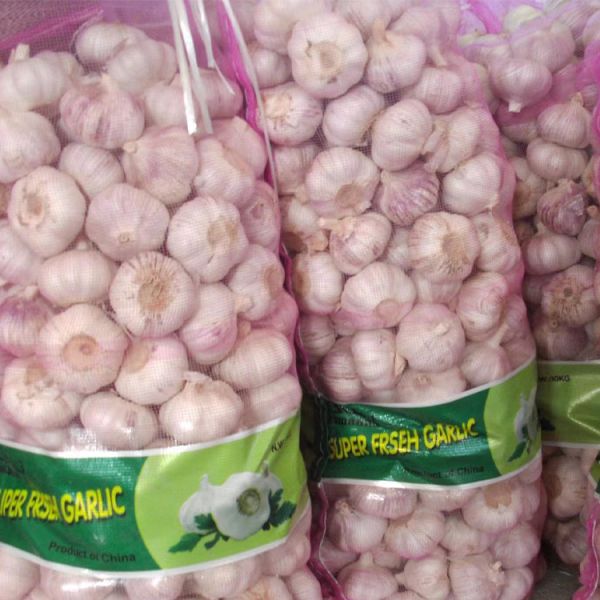 China Supplier Organic 10kg White Mesh Packed High-quality Cold Storage Delicate Garlic Pure Flavor Fresh Garlic