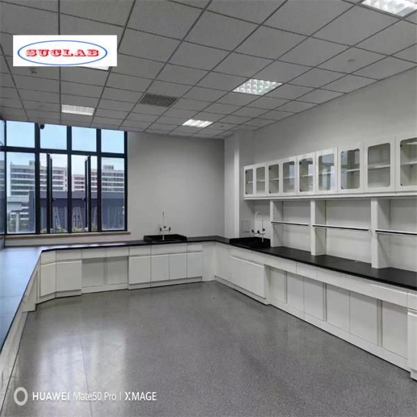 Muebles de laboratorio funcionales y clásicos con paquete de madera contrachapada para exportación