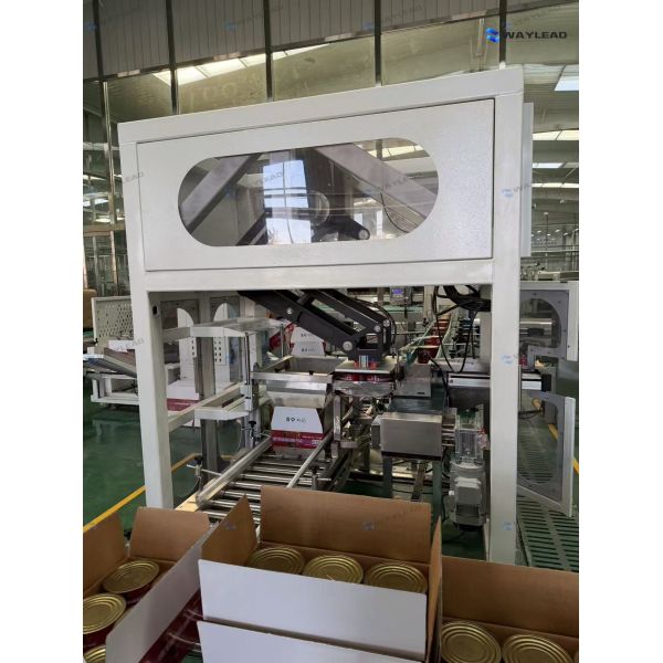 Automatic Two-Axis Robot Case Packer High Efficiency Carton Packing Machine