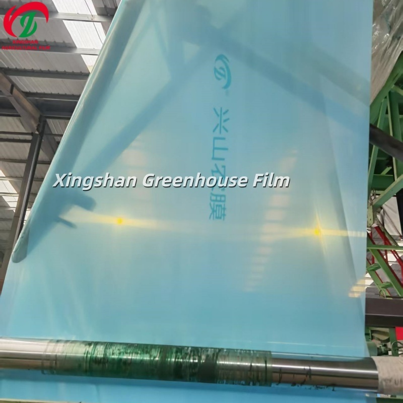Agricultural PE Film Anti Fog UV Resistant PE Greenhouse Cover