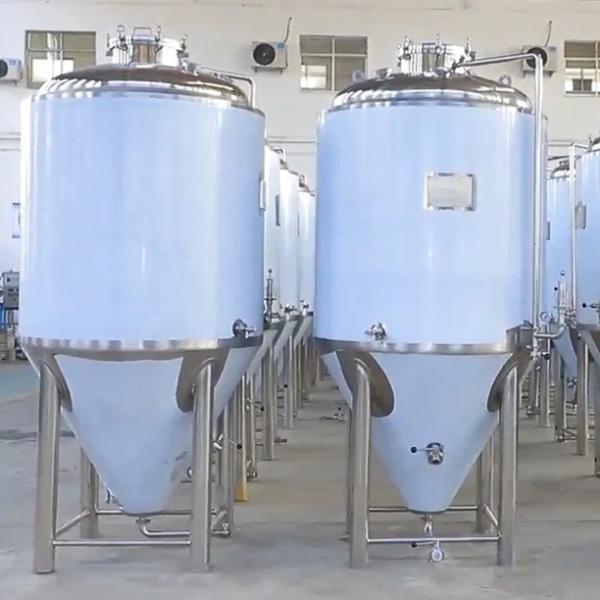 1000L Conical Beer Fermenter for Hotel Beer Fermenting Solution System