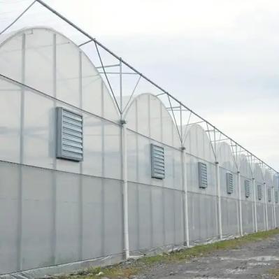 Commercial Plastic Film Greenhouse Vegetable Farming With Ventilation System