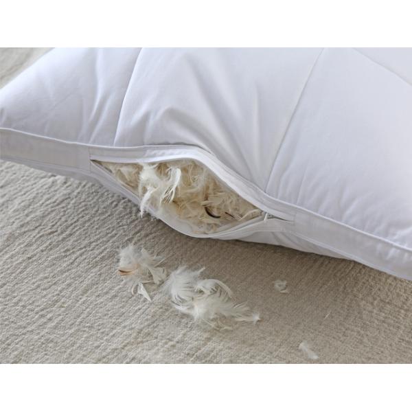 60x40'S 150g/M2 Luxury Feather Pillow Cotton Home Textiles