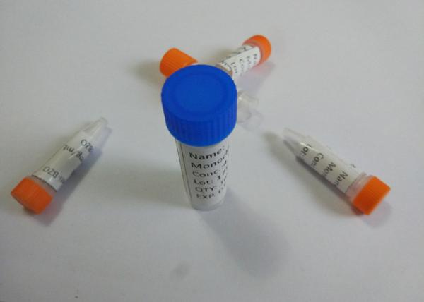 Anti-EDDP anticorpos monoclonais personalizados do rato/rato para a pesquisa de Vitro