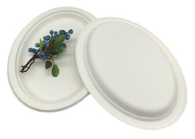 Placas de papel ovais da cana-de-açúcar do Natal de um Refrigerable de 12 polegadas