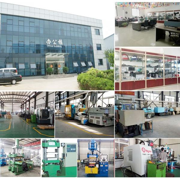 Plastic Custom Injection Molding Service for 2D/3D Drawing Format Product of Customized Molded Parts in Custom Color