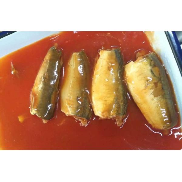 425g / 15оз кс 24 законсервированных рыбы сардины в олове овала томатного соуса