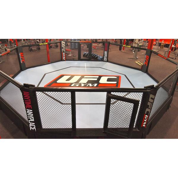 ISO Kickboxing Championship MMA Training Cage For Fight Training