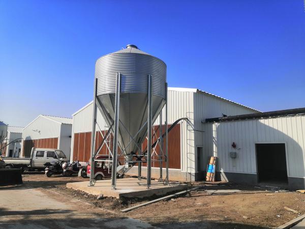 Type H Laying Hens Breeding Chicken Automatic Equipment