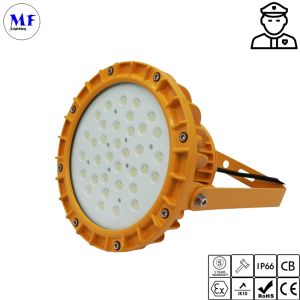 60W 100W 200W Atex LED Explosion Proof Light