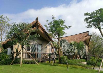 Prova sísmica do inseto do desempenho das casas de madeira pré-fabricadas exóticas do estilo boa