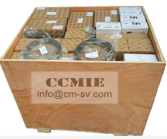 CE/ROHS Dongfeng Truck Parts 6CT Engine Oil Seal Seat 3933384