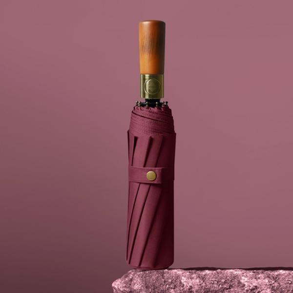 Windproof 10-Ribbed Metal Shaft Automatic Open / Close Travel Umbrella