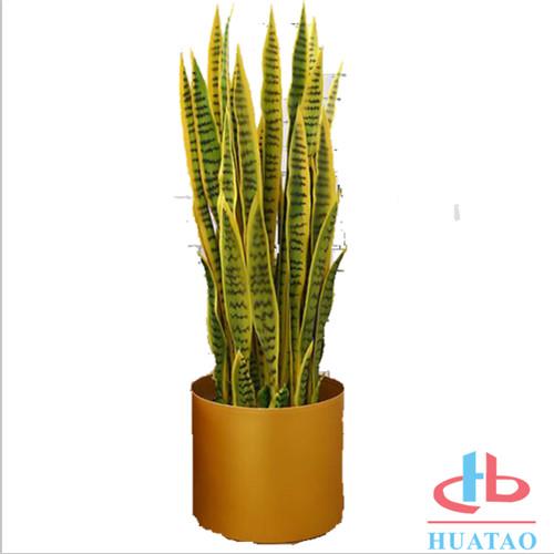 Silk / Plastic Artificial Green Plants Musa Basjoo Plant Pot For Hotel And Plaza