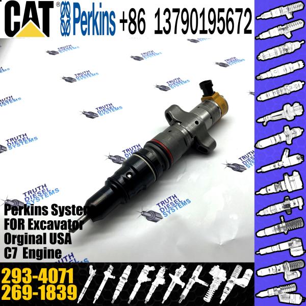 2934071 Perkins Diesel Injector CAT Caterpillar Diesel Engine Parts