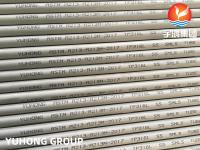 ASME SA213 TP316L 35x2x8000MM Tubo de caldeira em conserva sem costura para trocadores de calor