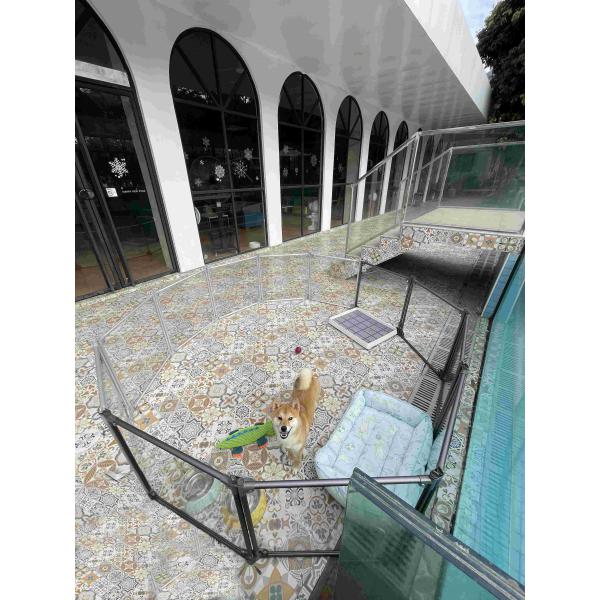 Внешние металлические портативные заборы для домашних животных для двора, бассейна и сада