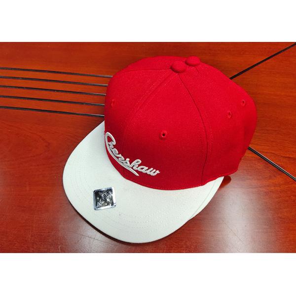 ACE OEM ODM Men Women Outdoor Creative Custom 3D Embroidery Logo Hip Hop Baseball Snapback Cap