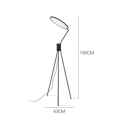 Nordic Floor Lamp Led Modern Iron Tripod Floor Lamps For Living Room Bedroom Study Floor lamp(WH-MFL-78)
