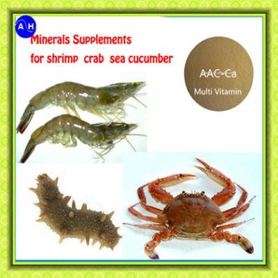 Shell Animal Feed Additive Multi Vitamin Calcium Minerals Premix For Shrimp