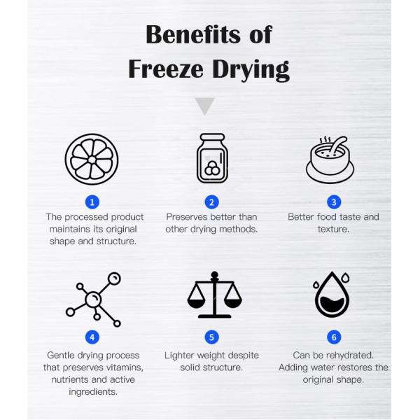 Коммерческий вакуумный морозильный сушильщик для фруктов и овощей