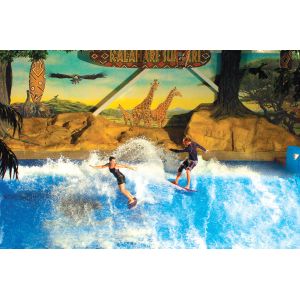 Apprécier le tour de l'eau de Flowrider, conseil de dérapage de vague/amusement attrayants surfants parc d'Aqua