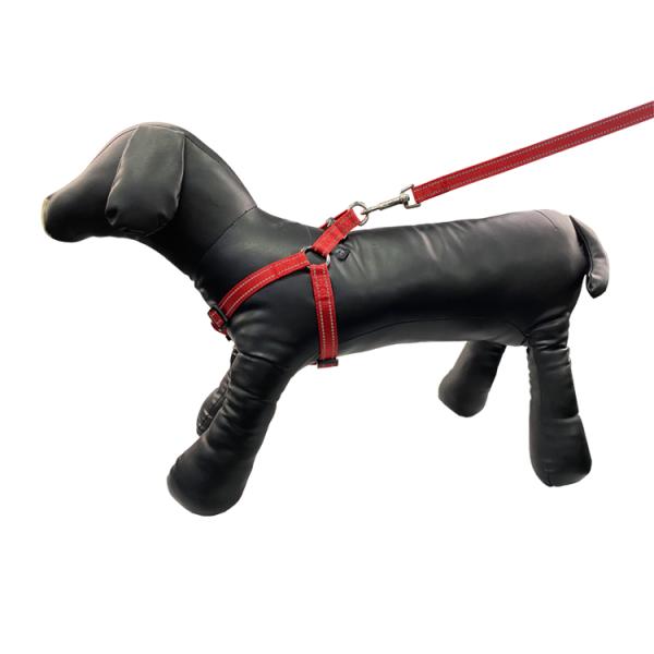 Изготовленное на заказ роскошное руководство проводки собаки логотипа установило зеленый Retractable поводок собаки